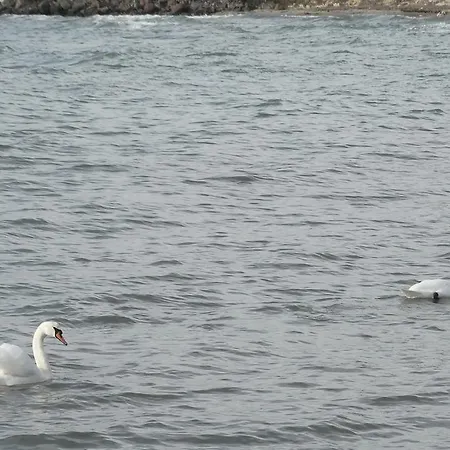 Aparthotel Akrotiria Complex 4*