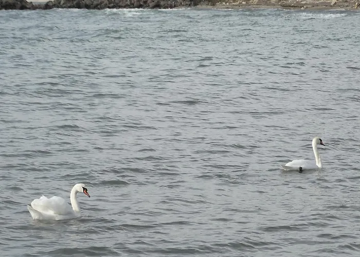 Lägenhetshotell Akrotiria Complex 4*